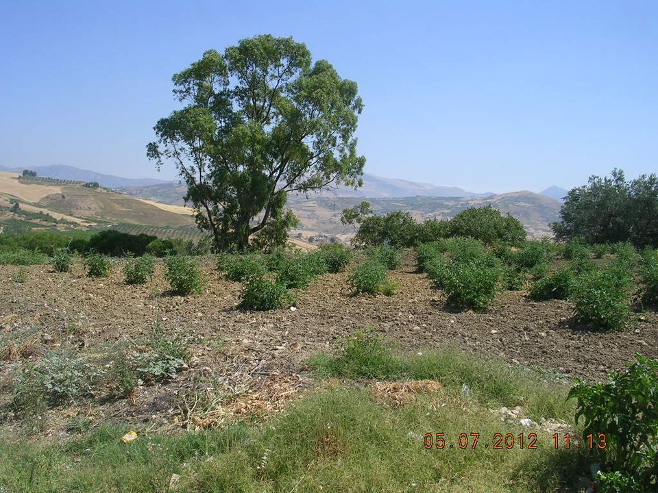 Tomt i Cianciana, Agrigento - bilde 5